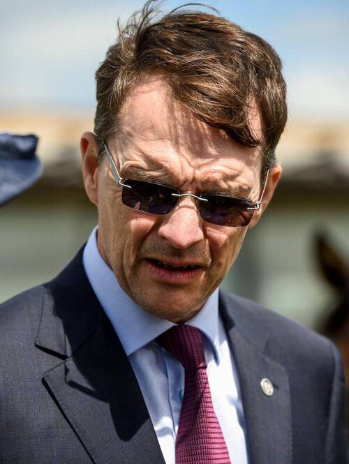 Aidan O'Brien. Photo: Sportsfile