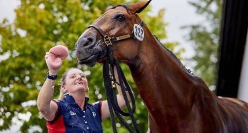 CREATOR: gd-jpeg v1.0 (using IJG JPEG v62), quality = 80