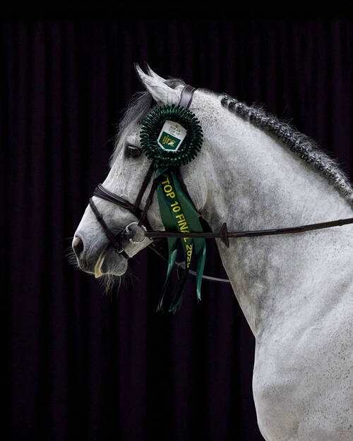 Highlights from the Rolex IJRC Top 10 Final 2025 - Part 2