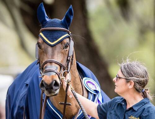 CSI2* events are to be re-included in the Invitation System as of 1 January 2021.