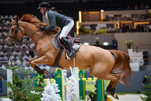 Julien Epaillard (FRA) riding Dubai du Cedre 