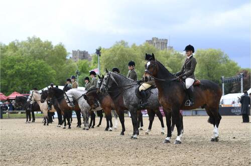 RIDERS FROM 16 COUNTRIES COMPETE IN VIRTUAL WINDSOR’S AUTUMN SERIES