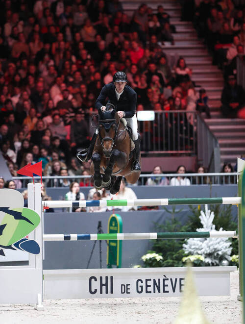 Photo : Tiffany Van Halle