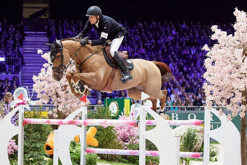 FEI Rankings Monthly Update – April 2024