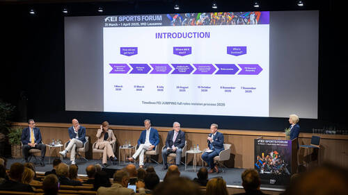 FEI Sports Forum IMD 2025 - Session 4 FEI Jumping Rules full revision     ©FEI/Germain Arias-Schreiber-7