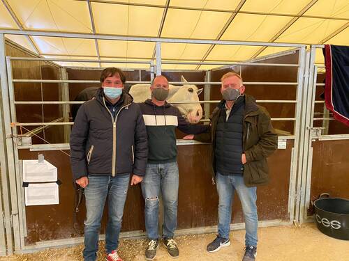 Dr Montecchi Raul Botella Vincents Orts