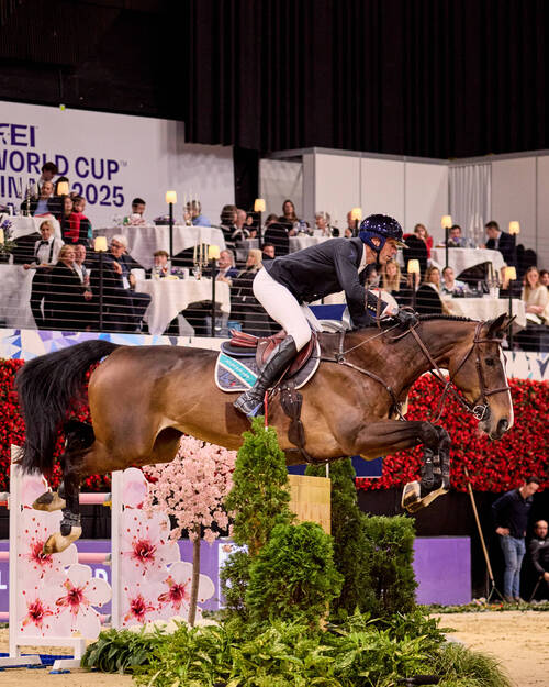  Kevin Staut (FRA) with Visconti du Telmane . Photo copyright - FEI / Liz Gregg