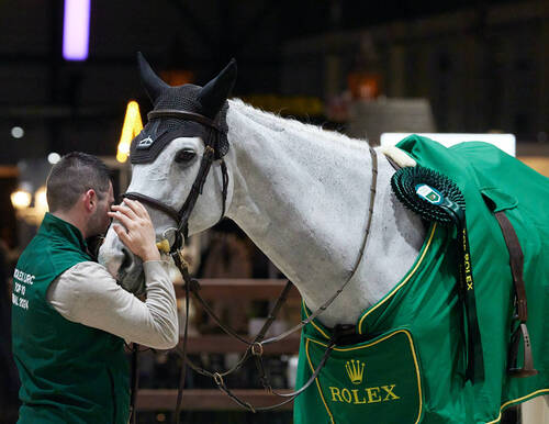 Sean Vard and Leone Jei