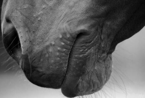 CREATOR: gd-jpeg v1.0 (using IJG JPEG v62), quality = 90