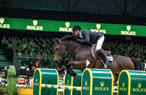 Julien Epaillard with Donatello d'Auge. Credit FEI/BoktNR