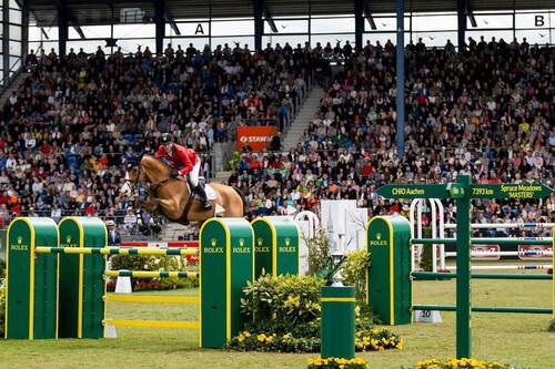 MCLAIN WARD RIDING ILEX