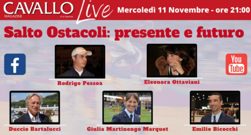 Show jumping: present and future