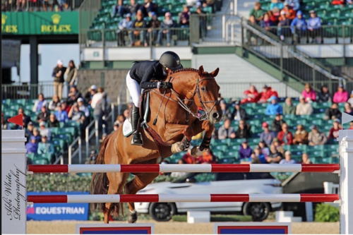 The Land Rover Kentucky Three-Day Event presented by MARS Equestrian™ (LRK3DE) will not hold its famed Five Star three-day event this year, previously scheduled for April 22-25. The Kentucky CSI3* Invitational Grand Prix presented by Hagyard Equine Medical Institute and other events are being explored to be held over that weekend but without spectators.  “We have been working with US Equestrian, the Kentucky Horse Park, and state and local government on several different scenarios for April,” said Mike Cooper, president of Equestrian Events, Inc. (EEI) which produces the world-class event. “With so many uncertainties still remaining regarding the COVID-19 pandemic, it is premature for US Equestrian to remove its restrictions on spectators. Given the importance of the health and well-being of our spectators and competitors, we feel the only option at this time is to cancel the Five Star Event and hopefully proceed with other events that our fans can enjoy via livestream and other outlets.”  Among the other competitions being considered is a new CCI-4*-S which will likely feature many of the same horses and riders that would have been competing in the Five Star, plus the Kentucky CSI3* Invitational Grand Prix which normally takes place on Saturday afternoon.  “While disappointing that all our fans can’t join us again this April,” added Lee Carter, EEI executive director, “we are excited that some of those same fans can now compete in levels we’ll be offering during “The Best Weekend All Year!” April 22-25…Save the Date! Plans are being developed and will be communicated as approved.”  Spectators, patrons, vendors and sponsors who paid for the 2020 event and chose to roll their money over for 2021 will have the option of full refunds or rolling their money over again for 2022. Ticket holders can expect an email regarding their options. Sponsors may choose to be part of whatever events are held in 2021 with new agreements that fit this year’s situation.  “We want to thank everyone who has been so patient throughout this difficult process,” Carter added. “We remain committed to all our supporters across the country and around the world and we look forward to putting on a great event this spring and welcoming everyone back for our full-scale Land Rover Kentucky Three-Day Event Five Star, with the Kentucky CSI3* Invitational Grand Prix, in 2022!”  Known as “The Best Weekend All Year,” LRK3DE is one of only seven annual Five Star three-day events in the world along with Badminton and Burghley in England; Luhmuhlen in Germany; Pau in France; Adelaide in Australia and the new Five Star event in Maryland. As the United States’ premier three-day event, LRK3DE serves as the Land Rover/USEF CCI-5*-L Eventing National Championship Presented by MARS Equestrian™ for U.S. athletes. The event was scheduled to return to the Kentucky Horse Park in Lexington, KY, April 22-25.