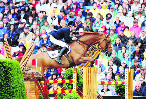 Lesley McNaught / Dulf