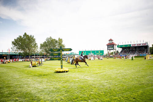 CP International presented by RolexKevin StautFRAVisconti du Telman