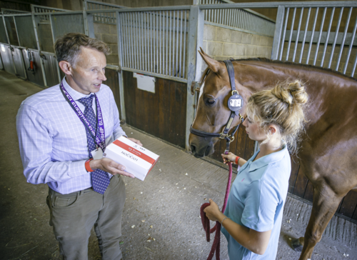  IGA and FEI launch first anti-doping education course designed  specifically for grooms