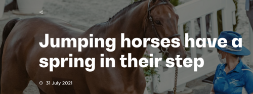 Jumping horses have a spring in their step