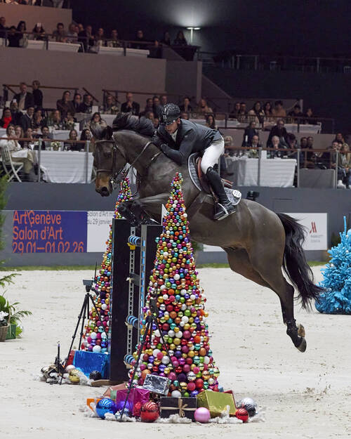 Julien Epaillard and Donatello d'Auge facing the course with determination, but an error in both rounds placed them in eighth position.