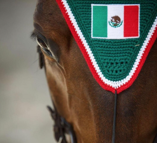 THE MEXICAN OLYMPIC TEAM FOR PARIS 2024 HAS BEEN ANNOUNCED