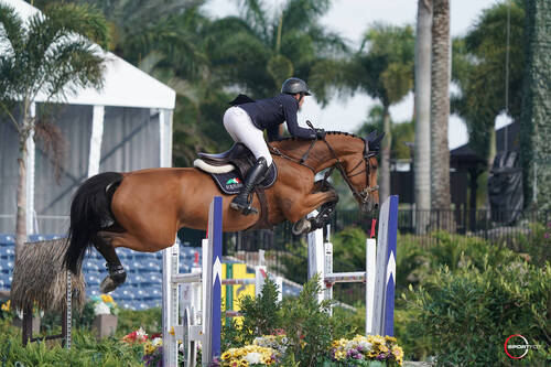 Press release from Equestrian Sport Production