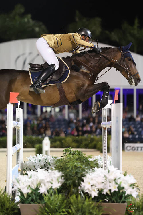 Nicola Philppaerts and Katanga v/h Dingeshof © Sportfot