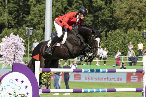 Riders’ stories: Olivier Philippaerts