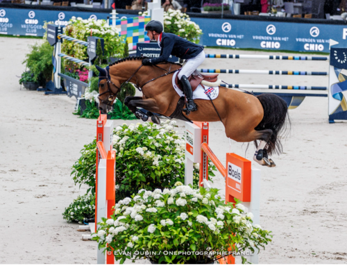 Ben Maher with Point Break 