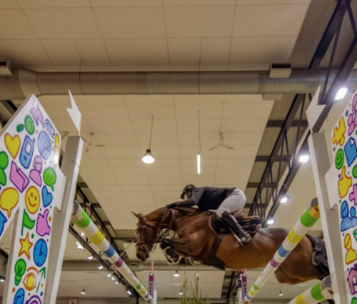 CSI4* Equi Seine 2020 cancelled