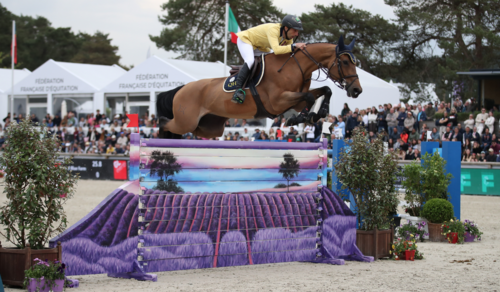 Highlights of the Weekend