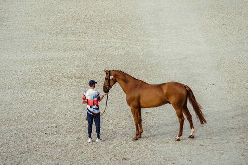 Optimized by JPEGmini 3.18.4.211102121-AP 0x31d7cbaa