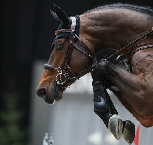 The story behind United Touch S