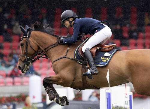 Copyright © FEI/Richard Juillart